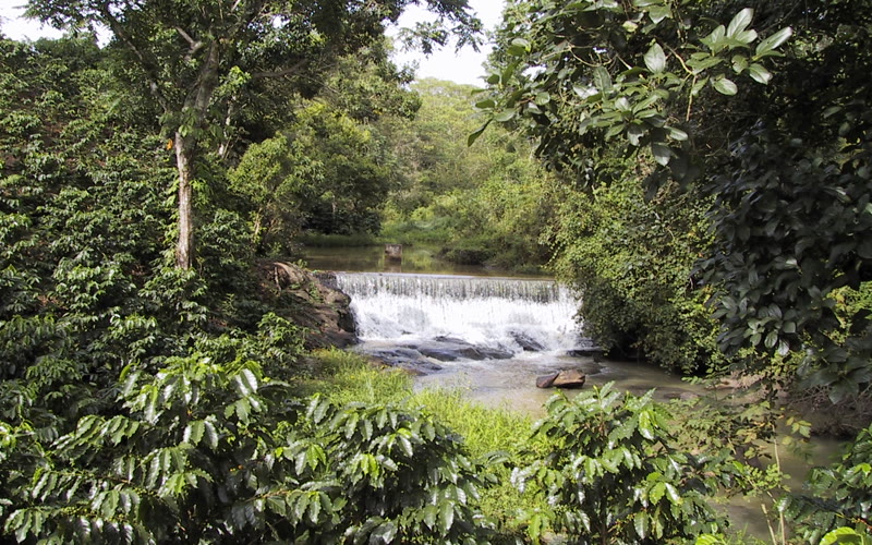 Finca La Esperanza